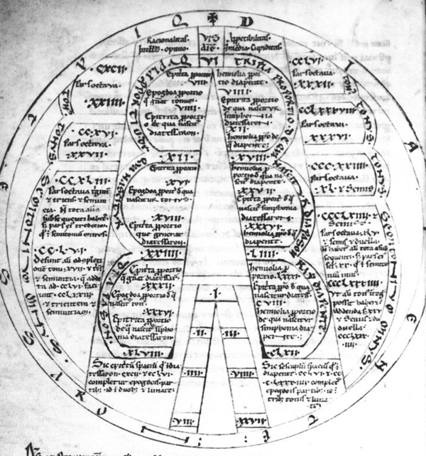 Calcidius Diagram