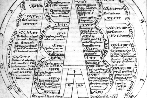 Calcidius Diagram